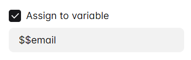 assign storage variable